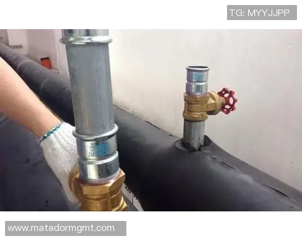 水管阀门的种类、功能及安装维护全解析，确保家庭水路安全畅通