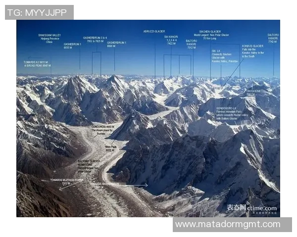 世界纪录保持者的非凡成就与突破探索及背后故事揭秘 世界纪录保持者的非凡成就与突破探索及背后故事揭秘