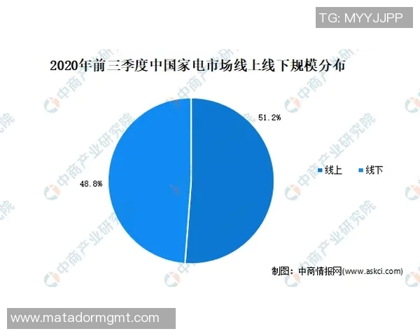 投资视角下的全球市场趋势分析与未来投资机会探索