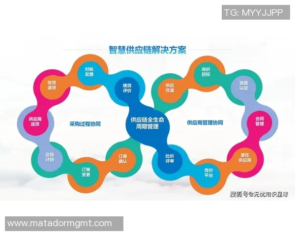 构建智能化物流体系推动供应链高效运转与可持续发展路径探索