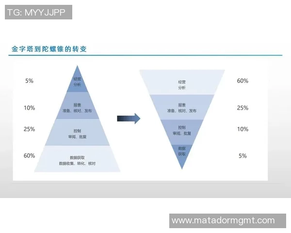 基于大数据分析的智能决策支持系统在现代企业中的应用与发展趋势