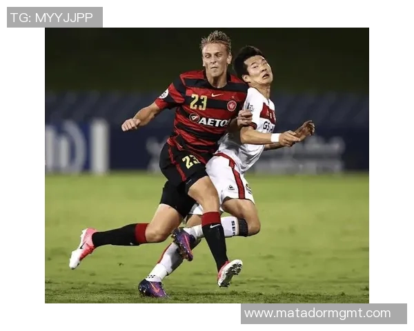 纽卡斯尔对西悉尼比赛前瞻与胜负分析预测详解 纽卡斯尔对西悉尼比赛前瞻与胜负分析预测详解