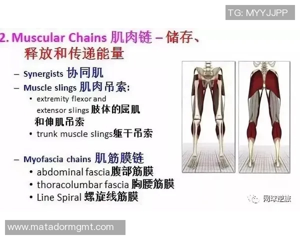 西安网球队实力对比深度解析与未来发展趋势探讨 西安网球队实力对比深度解析与未来发展趋势探讨
