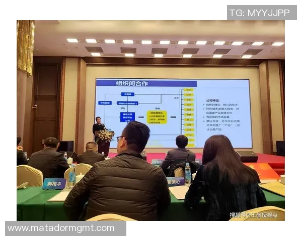 西安攀岩队运营模式创新探索与发展路径分析 西安攀岩队运营模式创新探索与发展路径分析