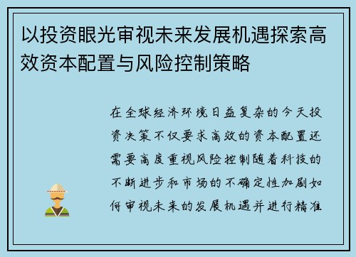以投资眼光审视未来发展机遇探索高效资本配置与风险控制策略