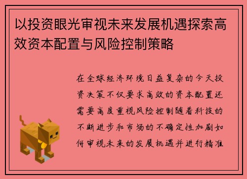 以投资眼光审视未来发展机遇探索高效资本配置与风险控制策略