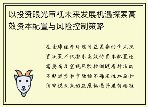 以投资眼光审视未来发展机遇探索高效资本配置与风险控制策略