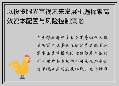 以投资眼光审视未来发展机遇探索高效资本配置与风险控制策略