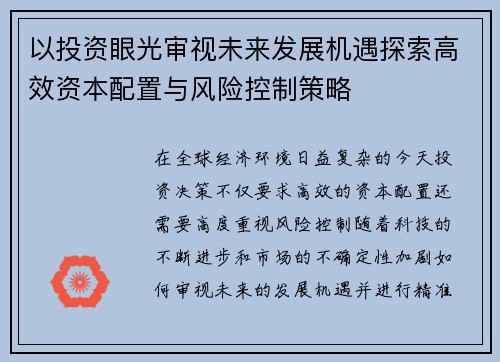 以投资眼光审视未来发展机遇探索高效资本配置与风险控制策略