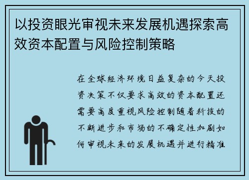 以投资眼光审视未来发展机遇探索高效资本配置与风险控制策略