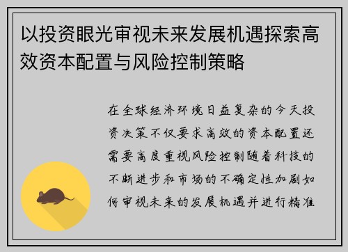 以投资眼光审视未来发展机遇探索高效资本配置与风险控制策略