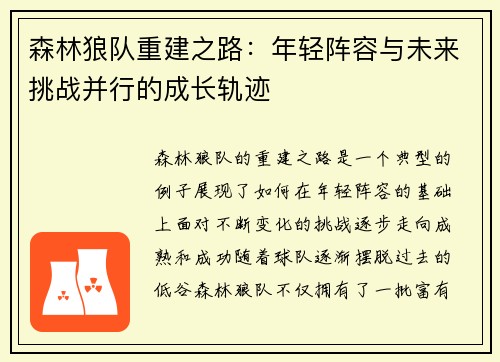 森林狼队重建之路：年轻阵容与未来挑战并行的成长轨迹